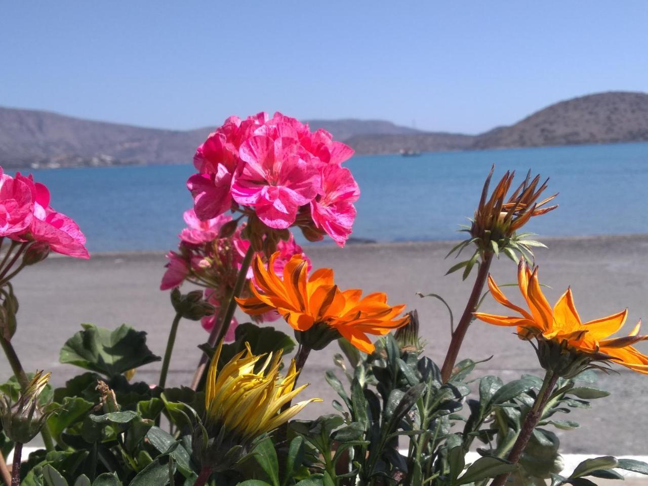 Hiona Seaside Apartment Elounda  Exterior photo